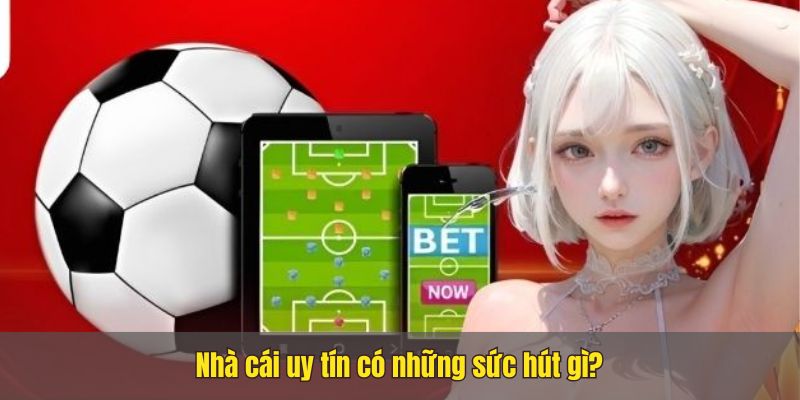 Trang nhà cái uy tín Nhacai24h1.net, bet thủ không nên bỏ qua 9 Trang nhà cái uy tín Nhacai24h1.net, bet thủ không nên bỏ qua