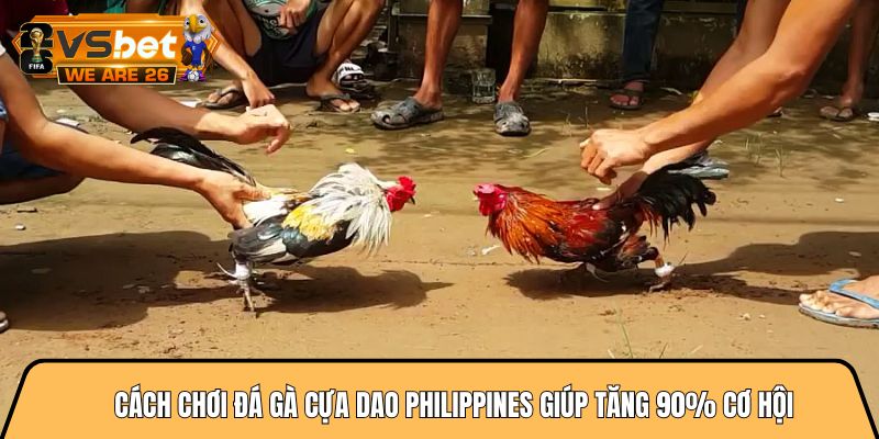 Cách chơi đá gà cựa dao philippines giúp tăng 90% cơ hội 10 Cách chơi đá gà cựa dao philippines